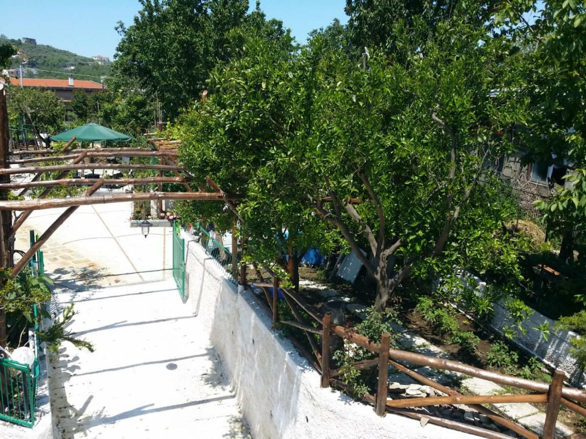 Casa Cioffi *