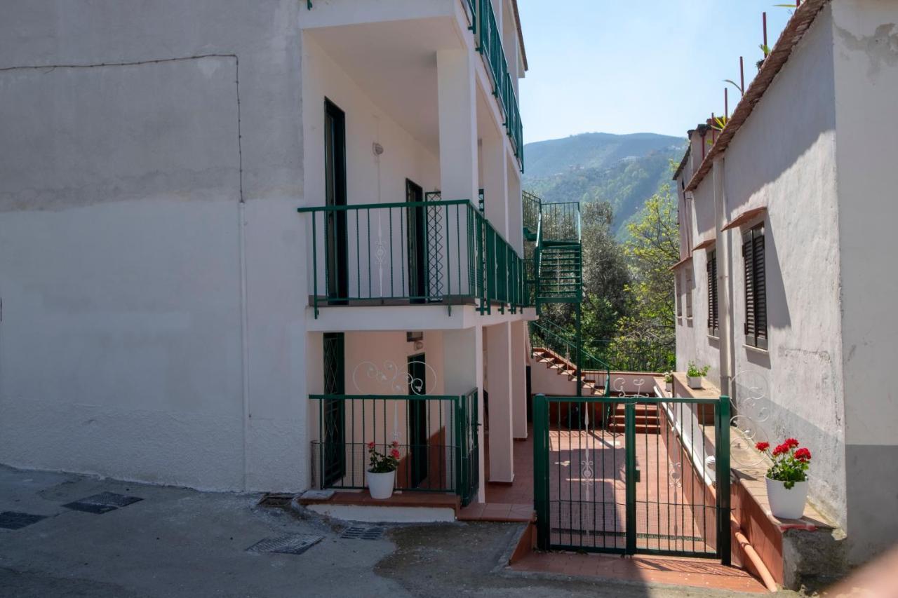 Apartment Casa Cioffi *